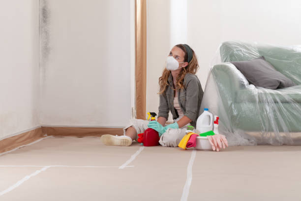 Reliable Mold Cleanup contractor in Wycombe, PA by WQB Mold Removal